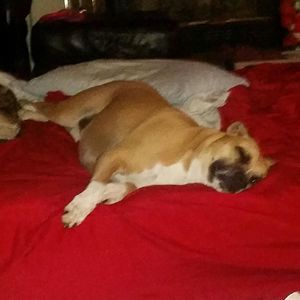 Meet your Posher, Susie